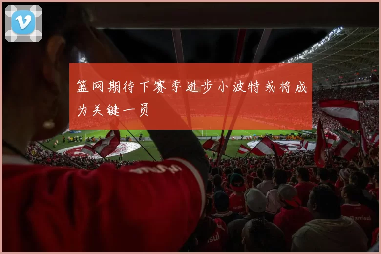 篮网期待下赛季进步小波特或将成为关键一员