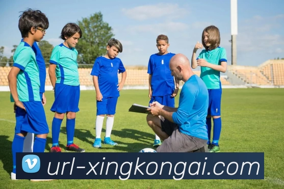 星空体育APP 封面图